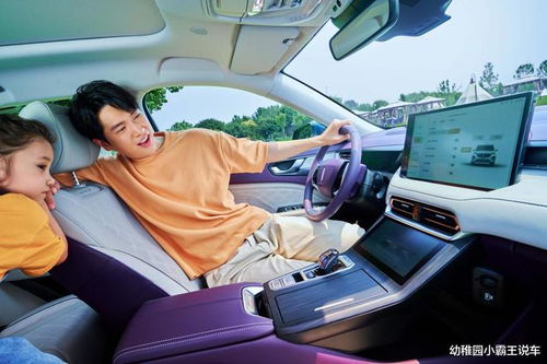 奶爸车品牌车—为家庭出行保驾护航的贴心选择