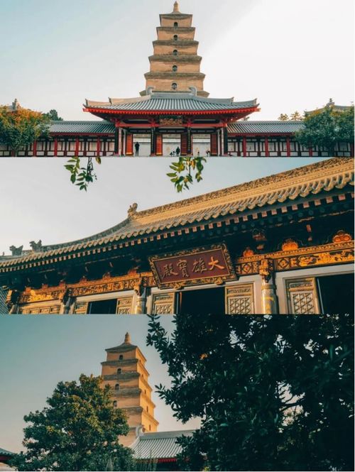 赵县十大热门景点大盘点，玩转古韵风情！