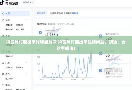 最新风控抖音月付提现秒到，轻松应对财务难题