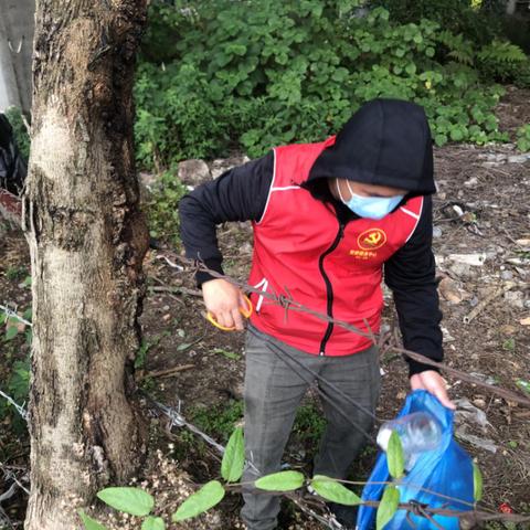 支部书记话乡村治理，提升治理能力，共建美好家园