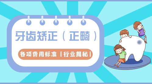 定远早教加盟指南—如何选择一个靠谱的加盟伙伴