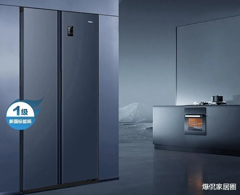 盘点双门冰箱界的耐用之星，哪个品牌质量好？