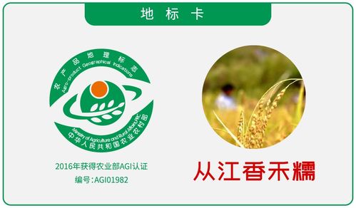 贵州弹簧加盟商品牌大盘点