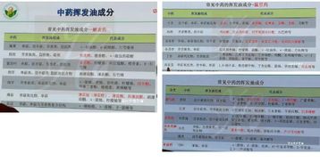 芳疗馆加盟品牌推荐与案例分析