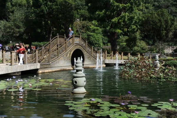 莲池美景如画，游客好评如潮—莲池景点好评排行榜大揭秘