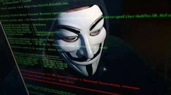 揭秘24小时在线接单的黑客天堂，揭秘黑客世界的黑暗交易