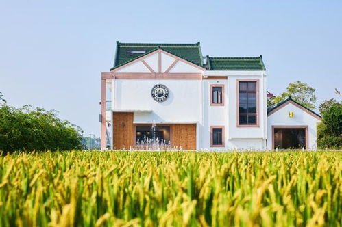 乡村旅游中的养生产业构建，打造健康休闲新天地