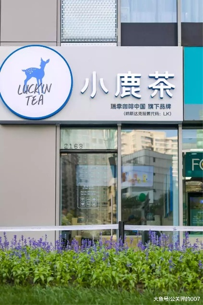 小鹿茶背后的茶叶品牌揭秘，品味与健康的完美结合