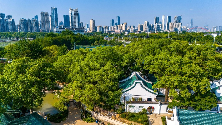 汉口公园景点排行榜，探寻武汉老城区的绿色宝藏