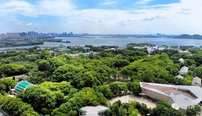 汉口公园景点排行榜，探寻武汉老城区的绿色宝藏