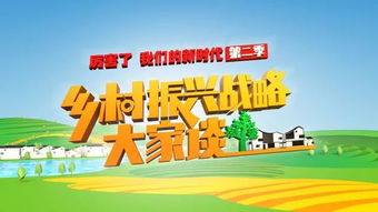 乡村振兴，你我同行—助力乡村发展的点滴行动