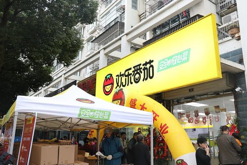 热门对外加盟超市品牌一览