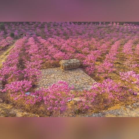 外用医药品牌排行榜