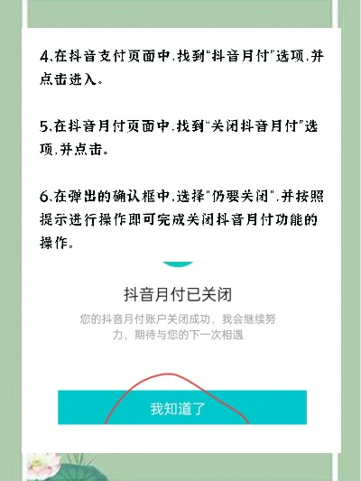 探索最新抖音月付提现方法