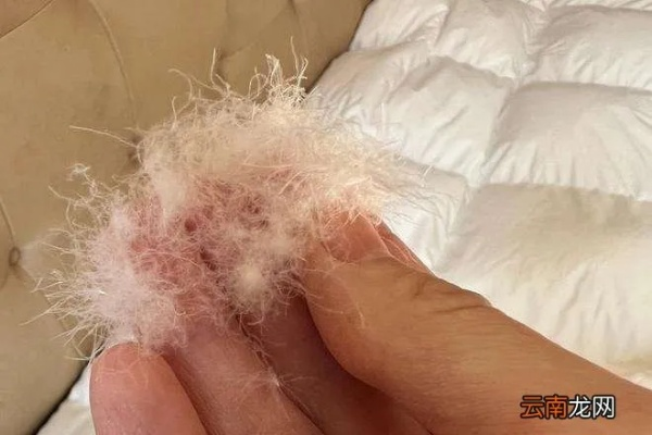 轻松学会让鸭绒被蓬松如新的视频教程
