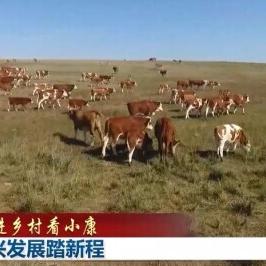 锡林郭勒盟乡村振兴战略实施路径与成效分析