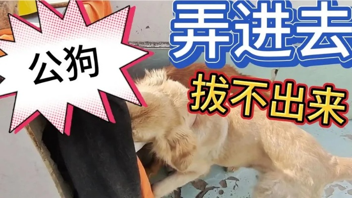分期乐套出来自己弄 分期乐套现攻略，安全、有效还是陷阱？