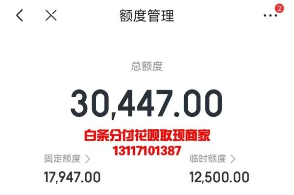 扫白条提现 扫白条提现攻略，轻松应对财务压力
