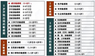 黑龙江早教加盟费用概览