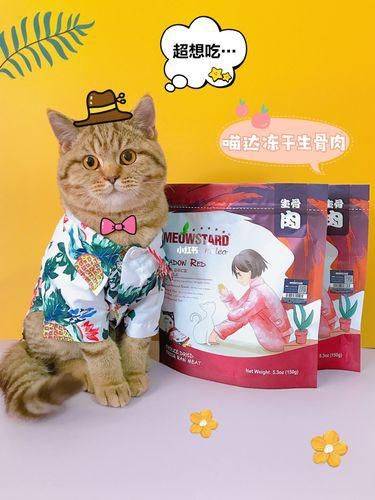 河南创意猫零食品牌店铺，萌宠美食新天地，打造猫咪专属味蕾盛宴