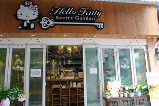 河南创意猫零食品牌店铺，萌宠美食新天地，打造猫咪专属味蕾盛宴