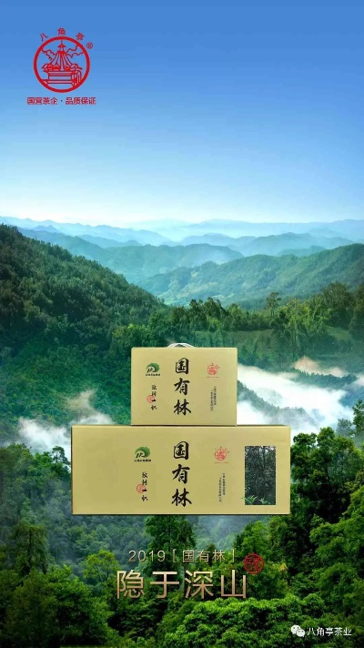 林海茶叶—品味自然，传承匠心