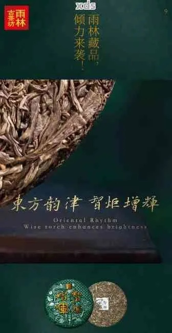 林海茶叶—品味自然，传承匠心