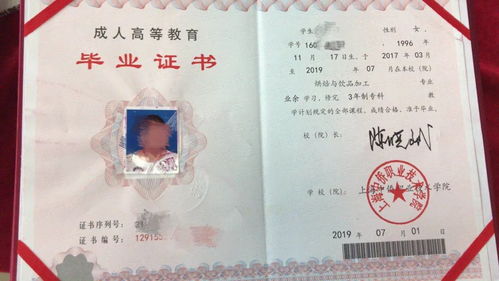 西点烘焙证书之旅，哪里学？如何学？案例分享