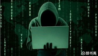 揭秘黑客追款，正规黑客24小时私人接单的真相与风险