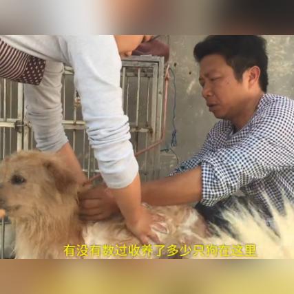 佛山租房沙发平价品牌大盘点，实惠又好看，让你的小窝温馨升级！
