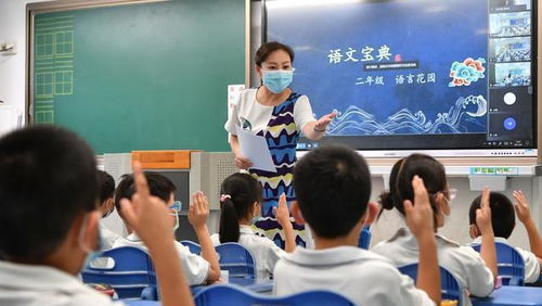 乡村中学教师工资水平揭秘，现实与期待