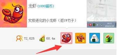 熊猫直播竹子变钱攻略，如何让你的虚拟财富变现