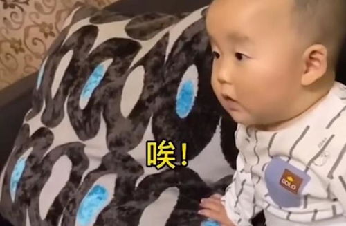 探索户外玩具的世界，为孩子挑选最佳品牌