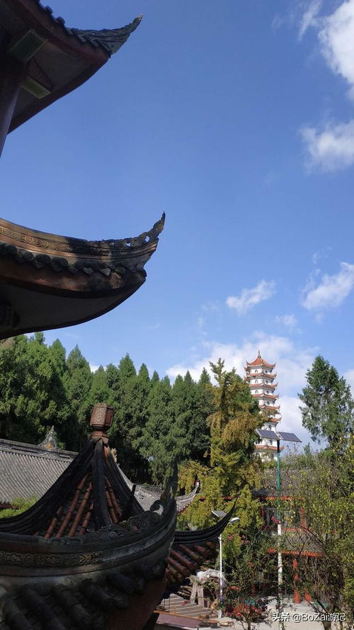四川早教产品加盟店的探索之旅