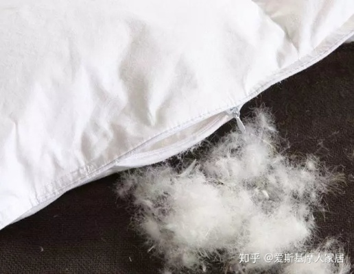 鸭绒被芯能否用洗衣机洗？全方位解析与案例分享