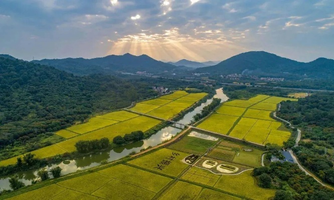 浙江省乡村振兴的实践与探索，多措并举，打造美丽乡村新画卷
