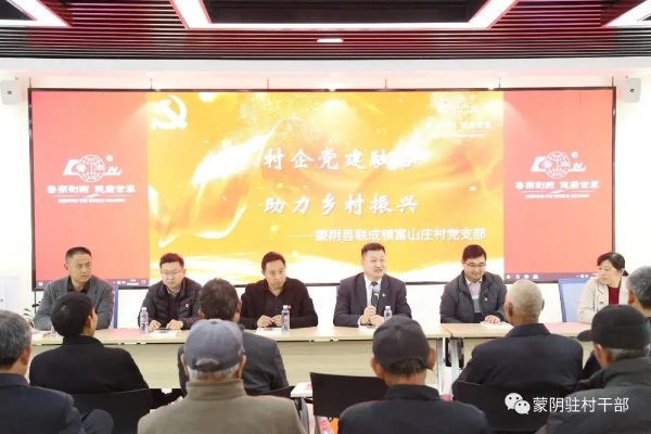乡村振兴中的共性探索，共谋发展，共创未来