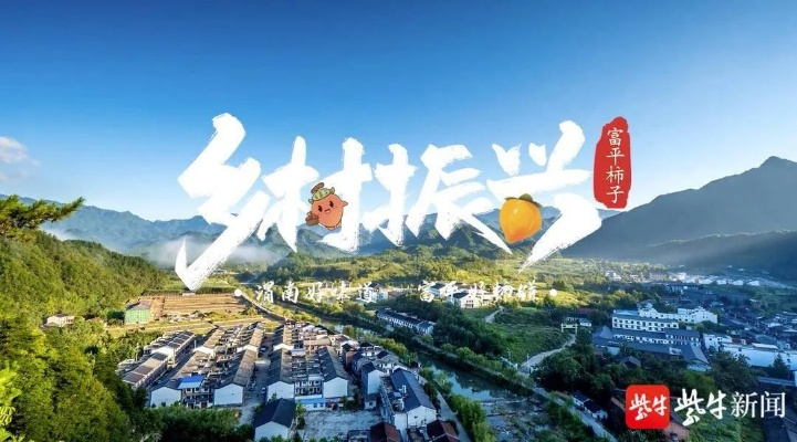 乡村振兴中的共性探索，共谋发展，共创未来