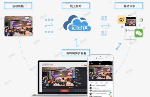 手机看网页直播全攻略，轻松一步，尽享精彩瞬间