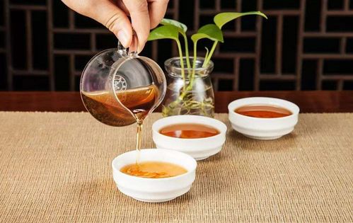 女性专属茶叶品牌大盘点，品味生活，从一杯好茶开始