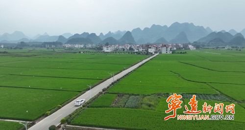 如何调整乡村产业结构布局，让农村焕发新活力