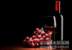 烟台葡萄酒加盟品牌推荐