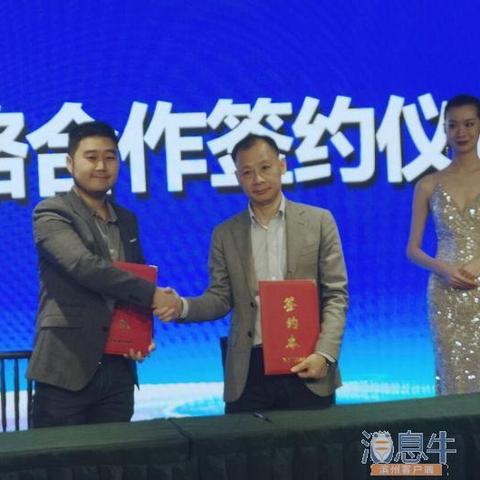 金一陶瓷，揭秘其品牌地位与市场影响力