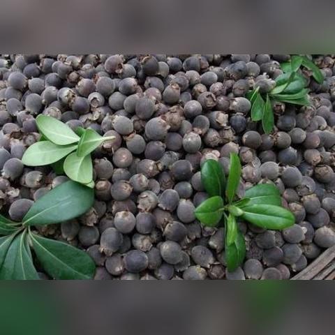 漳州零食加盟品牌推荐