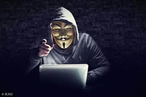 揭秘专业黑客24小时在线接单，揭秘黑暗世界的神秘服务