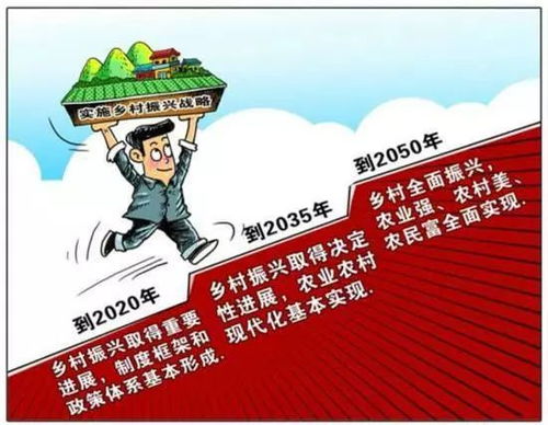 一号文件指引下的乡村振兴之路,如何行动与实践