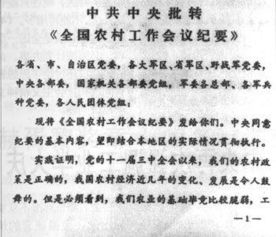 一号文件指引下的乡村振兴之路，如何行动与实践