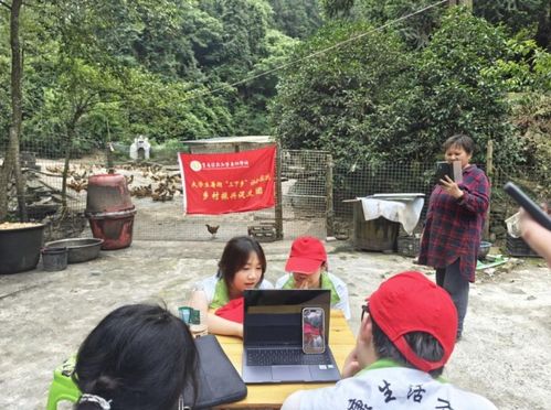 山东乡村振兴第一书记选派攻略,如何选贤任能助力乡村发展