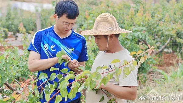 特殊工种乡村旅游，让特色人才成为乡村振兴的新引擎