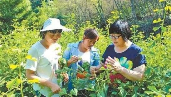 特殊工种乡村旅游，让特色人才成为乡村振兴的新引擎